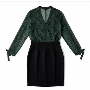 AKRIS Blouse 100% Silk Color Pine Snakeskin Green Size 8